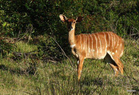 Commercial Property for Sale in Port Alfred Rural Eastern Cape